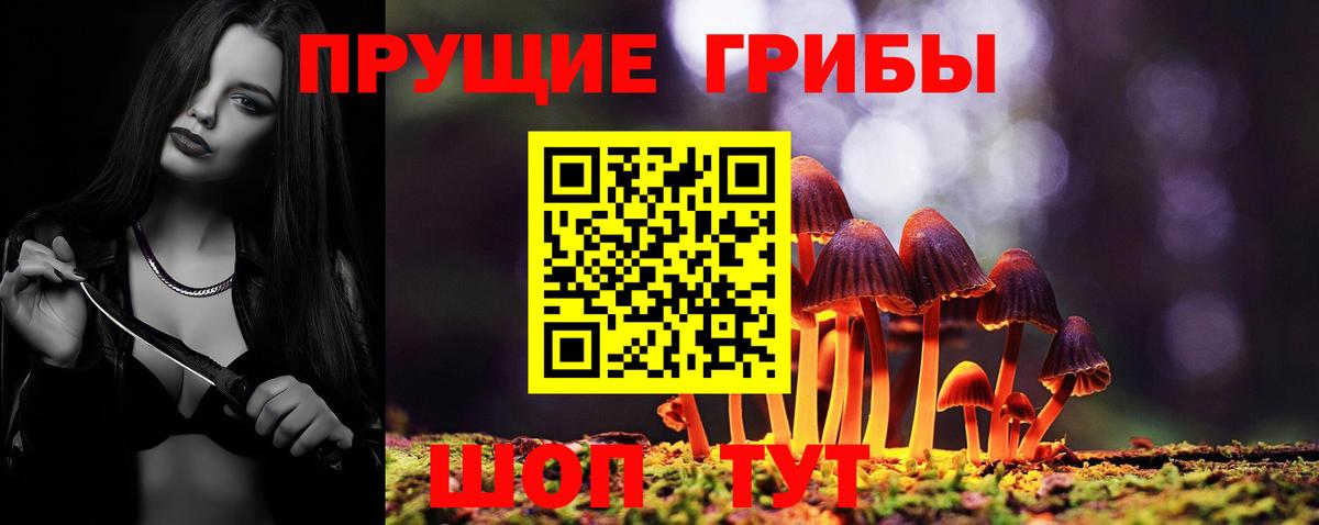 Галлюциногенные грибы Cubensis  Вход с VPN  Бийск 