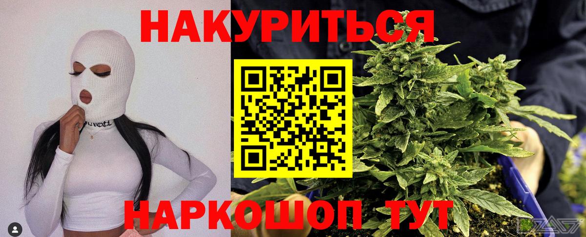 Конопля MAZAR  Конопля план  МАРИХУАНА THC 21%  Бийск  Марихуана индика  Вход с VPN 